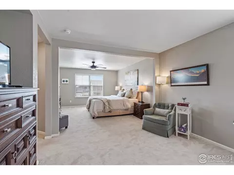 516 Buckrake St, Severance, CO 80550 photo 19