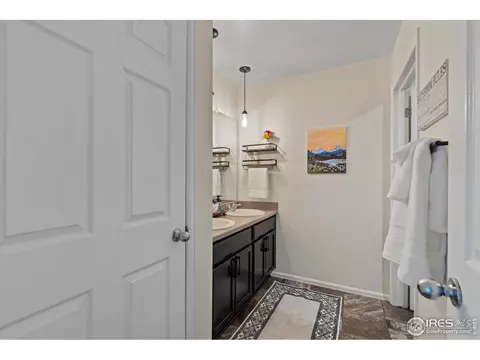 516 Buckrake St, Severance, CO 80550 photo 29