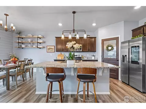 516 Buckrake St, Severance, CO 80550 photo 13