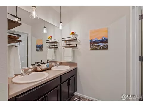 516 Buckrake St, Severance, CO 80550 photo 30