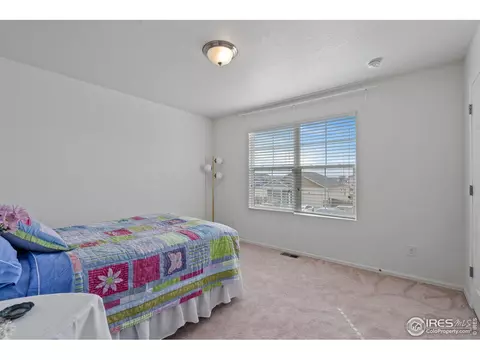 516 Buckrake St, Severance, CO 80550 photo 32