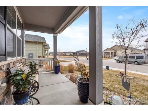 516 Buckrake St, Severance, CO 80550 photo 3