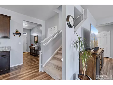 516 Buckrake St, Severance, CO 80550 photo 6