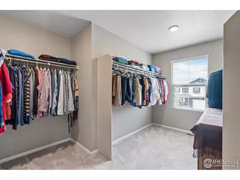 516 Buckrake St, Severance, CO 80550 photo 24