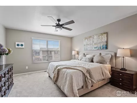 516 Buckrake St, Severance, CO 80550 photo 20
