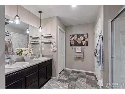 516 Buckrake St, Severance, CO 80550 photo 22