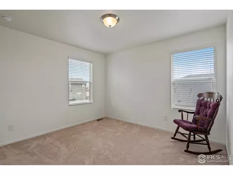516 Buckrake St, Severance, CO 80550 photo 28