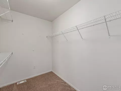 322 Shadowbrook Dr, Windsor, CO 80550 photo 23