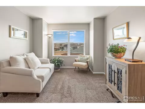 913 Keneally Ct, Windsor, CO 80550 photo 28