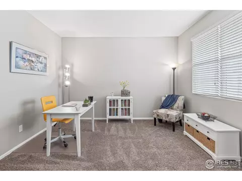913 Keneally Ct, Windsor, CO 80550 photo 25