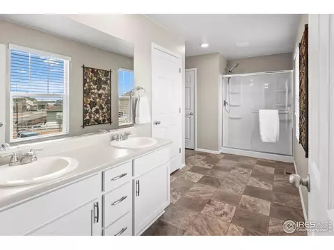 913 Keneally Ct, Windsor, CO 80550 photo 19