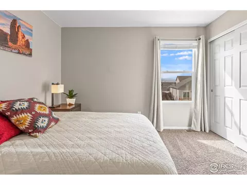 913 Keneally Ct, Windsor, CO 80550 photo 22