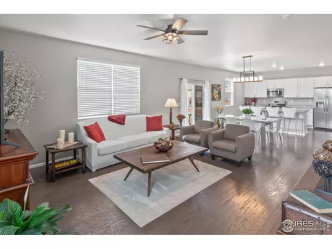 913 Keneally Ct, Windsor, CO 80550 photo 5