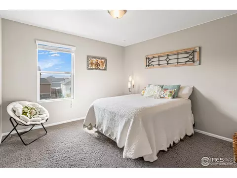 913 Keneally Ct, Windsor, CO 80550 photo 21