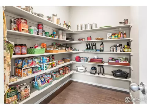 913 Keneally Ct, Windsor, CO 80550 photo 13