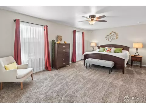 913 Keneally Ct, Windsor, CO 80550 photo 17