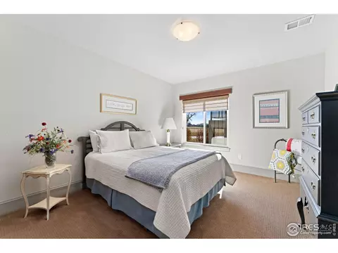 6650 Murano Dr, Windsor, CO 80550 photo 30