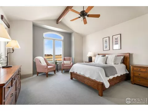 6650 Murano Dr, Windsor, CO 80550 photo 16