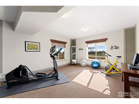 6650 Murano Dr, Windsor, CO 80550 photo 32
