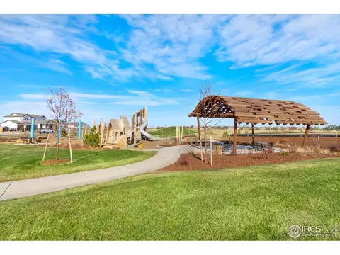 967 Warbling Dr, Windsor, CO 80550 photo 2