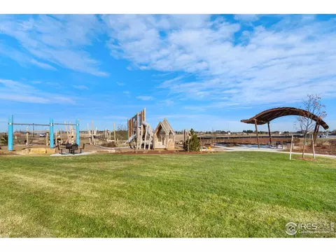 967 Warbling Dr, Windsor, CO 80550 photo 3