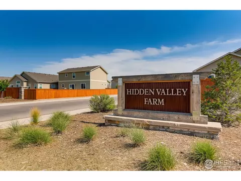 1051 Long Meadows St, Severance, CO 80550 photo 16
