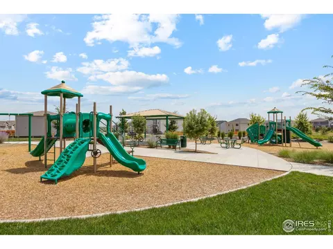 978 Cascade Falls St, Severance, CO 80550 photo 19