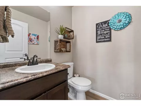 1323 Chamois Dr, Severance, CO 80550 photo 14