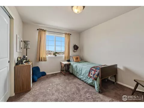 1323 Chamois Dr, Severance, CO 80550 photo 22