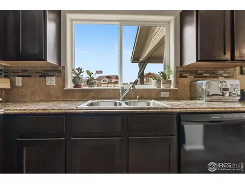 1323 Chamois Dr, Severance, CO 80550 photo 12