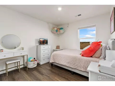 6063 Holstein Dr, Windsor, CO 80528 photo 21
