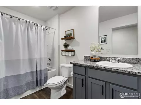6063 Holstein Dr, Windsor, CO 80528 photo 20