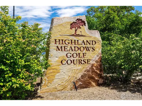 6747 Murano Ct, Windsor, CO 80550 photo 29