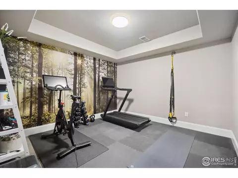 6747 Murano Ct, Windsor, CO 80550 photo 19