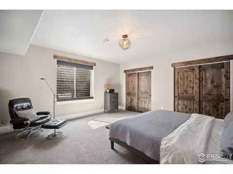 6747 Murano Ct, Windsor, CO 80550 photo 18