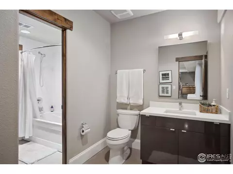 6747 Murano Ct, Windsor, CO 80550 photo 23