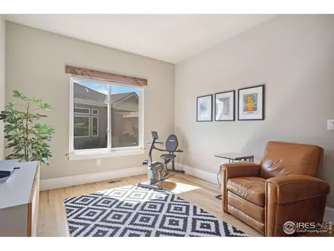 6747 Murano Ct, Windsor, CO 80550 photo 12