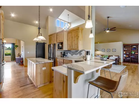 37158 Soaring Eagle Cir, Severance, CO 80550 photo 7