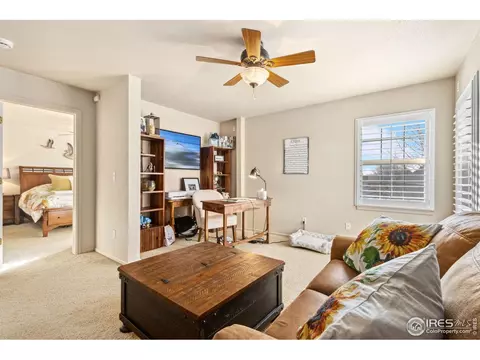 155 Bayside Cir, Windsor, CO 80550 photo 16