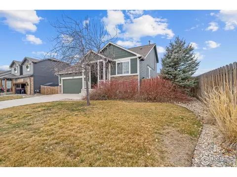 7357 Andover St, Wellington, CO 80549