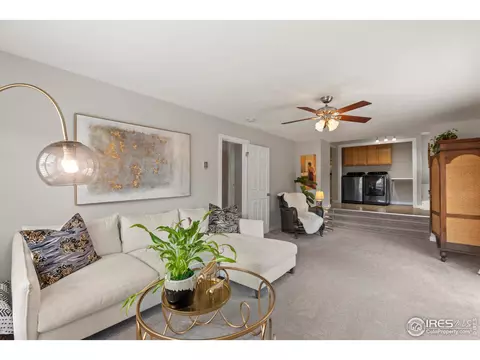 624 Walnut St, Windsor, CO 80550 photo 27