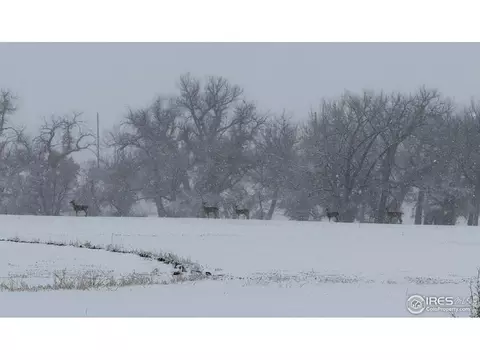 0 County Road 170, Agate, CO 80101 photo 18