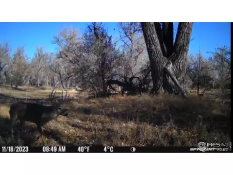 0 County Road 170, Agate, CO 80101 photo 19