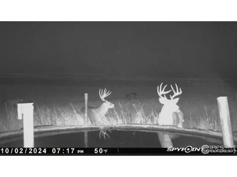 0 County Road 170, Agate, CO 80101 photo 14