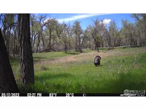 0 County Road 170, Agate, CO 80101 photo 27