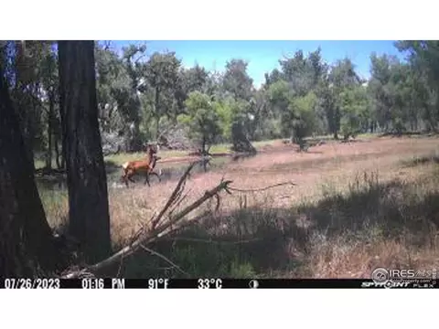 0 County Road 170, Agate, CO 80101 photo 29