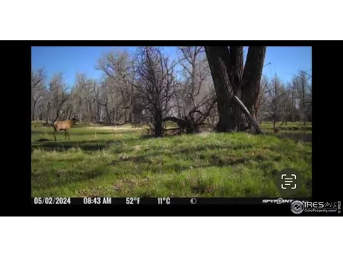 0 County Road 170, Agate, CO 80101 photo 31