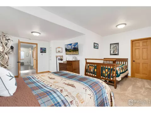 4833 Haystack Dr, Windsor, CO 80550 photo 33
