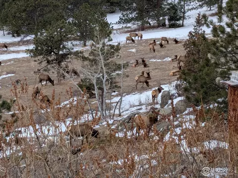8566 Flagstaff Rd, Boulder, CO 80302 photo 37