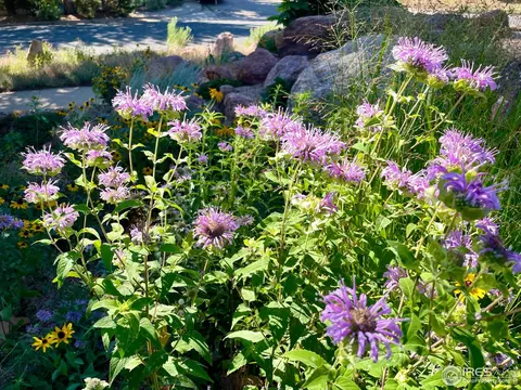 1385 Bear Mountain Dr #1385-D, Boulder, CO 80305 photo 38